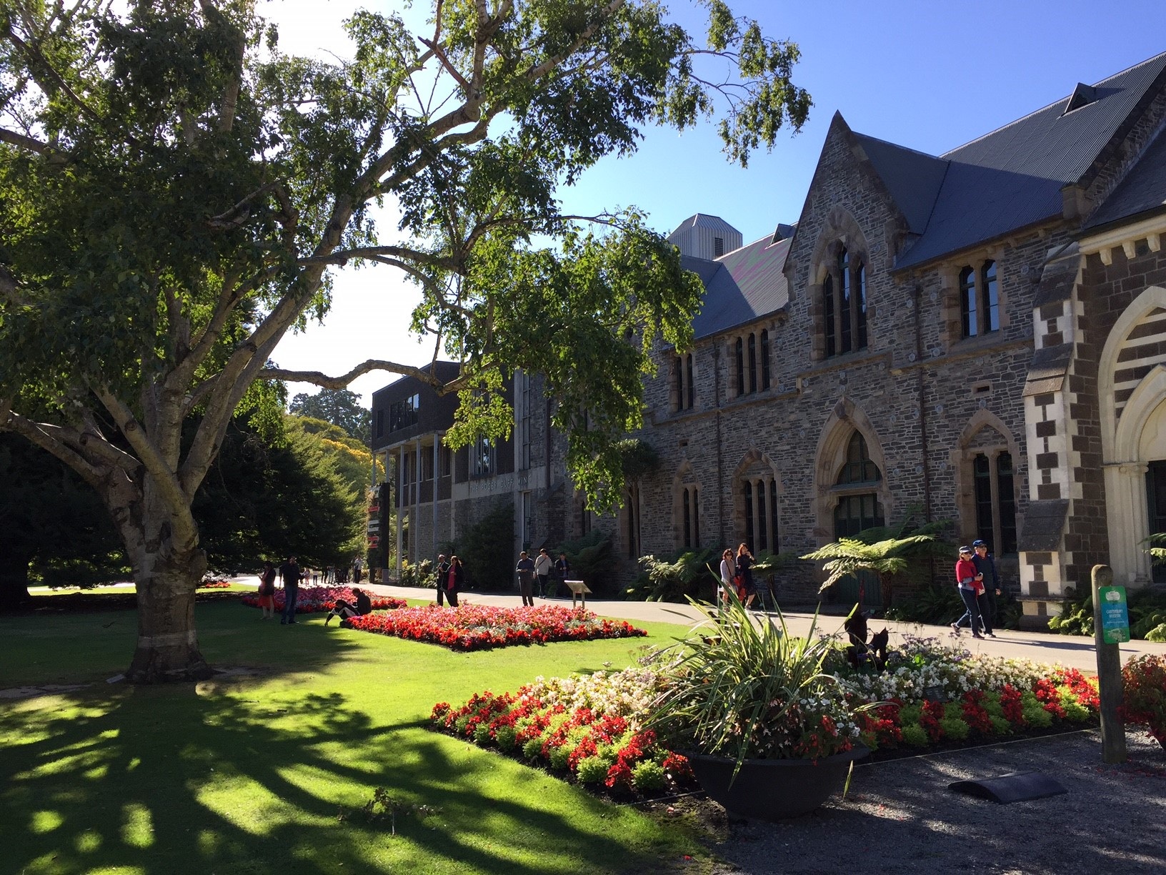 Canterbury Museum from the Botanic Gardens